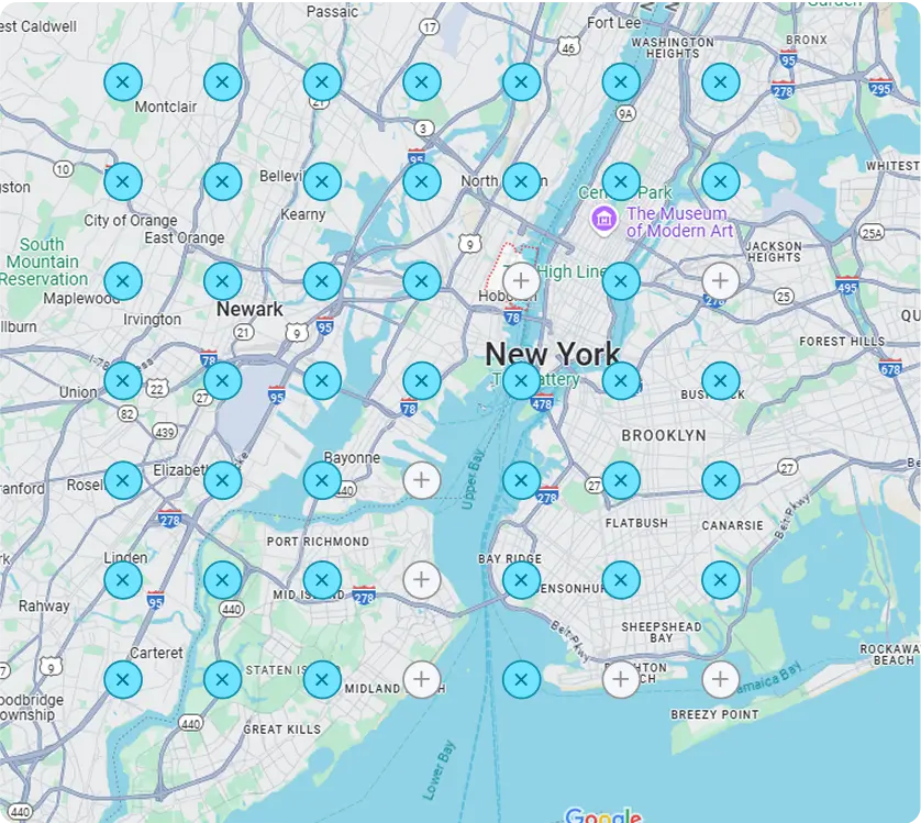 Customized Google Map Rank Tracking